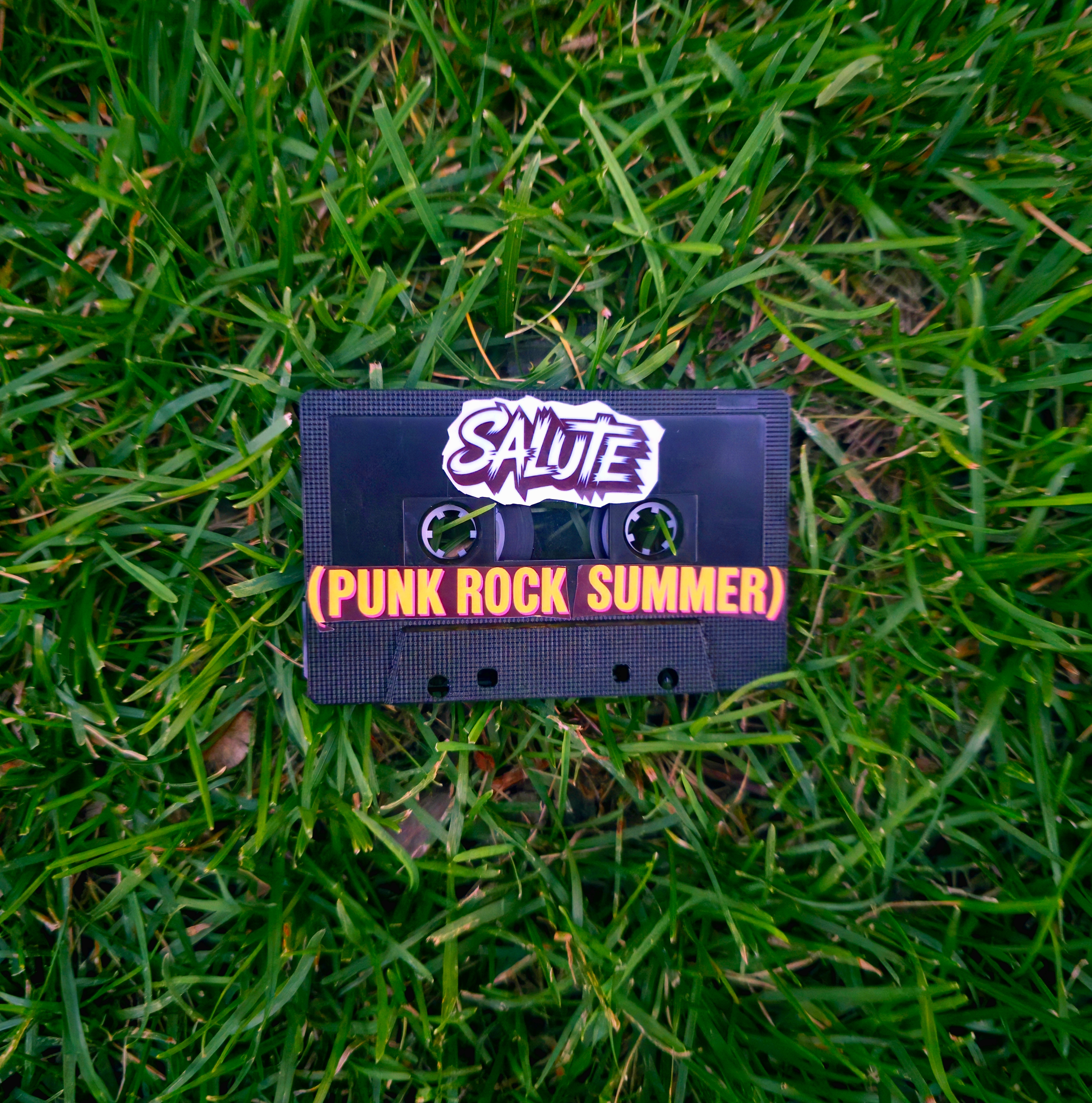 Salute (Punk Rock Summer) — cover art